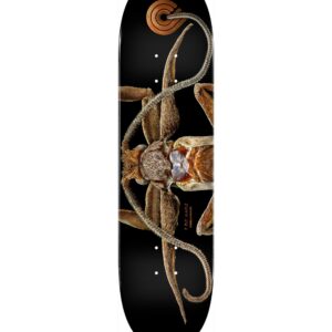 Powell Peralta Biss Marion Moth Deck – 8.25″ x 31.95″