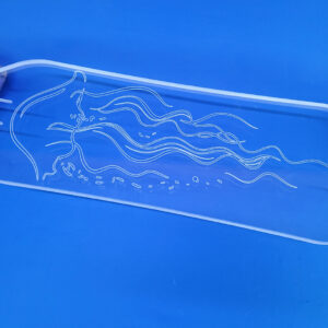 40″ Platypus Jellyfish Longboard, Closeout