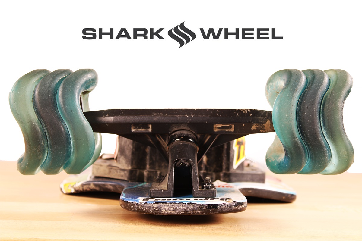 You are currently viewing The Guide to Shark Wheels: FAQ & Review