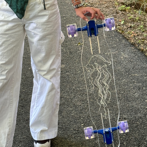 led wheels penny board