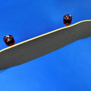 Powell Peralta Classic Cruiser Skull & Sword Birch Complete