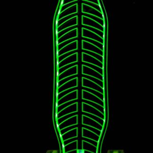 Kids 2026 longboard 32 inch LED Design Fishbone