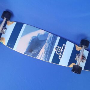Layback Cruiser Longboard