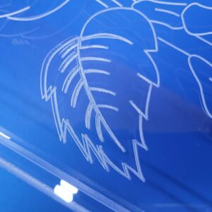 40″ Platypus Skeleton Rose Longboard, Closeout