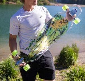 david-danforth-seahorse-artist-series-mahi